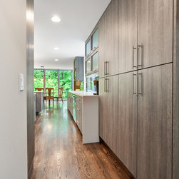 Carroll Remodel - Pantry And Cabinet Organizers