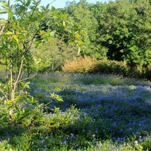 Willoughby Meadow