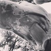 Anna Ungar's photo