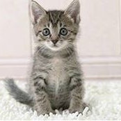 Catherine Ting's photo