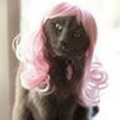 MB D.'s photo