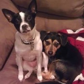 Meg Williams's photo