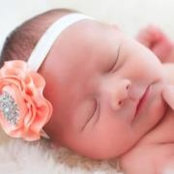 Amanda Hazelwood's photo