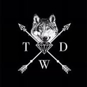 Josh Davis's photo