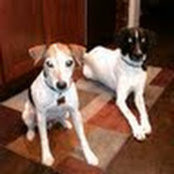 Lisa Monteleone's photo