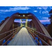 Roxanne Smith's photo