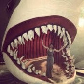 Kayla McGuinness's photo