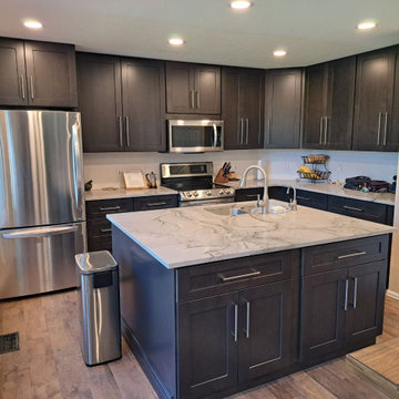 Castle Rock 23-Day Kitchen Remodel