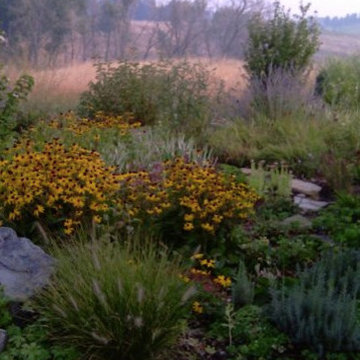 Contemporary Foothills Water Feature