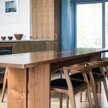 Aspire | A Modern Kitchen Renovation
