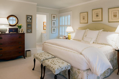 Bedroom - traditional bedroom idea in Boston