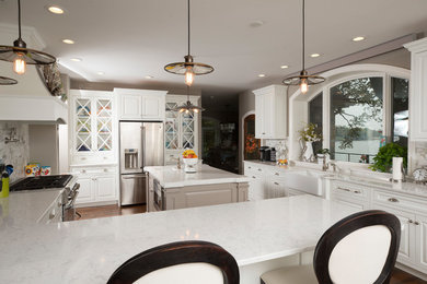 Kitchen - transitional kitchen idea in Chicago