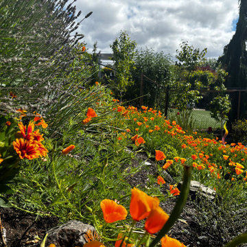 Rustic Italian Garden in University Place