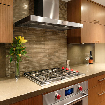 Washington, D.C. - Contemporary - Small Condo Kitchen