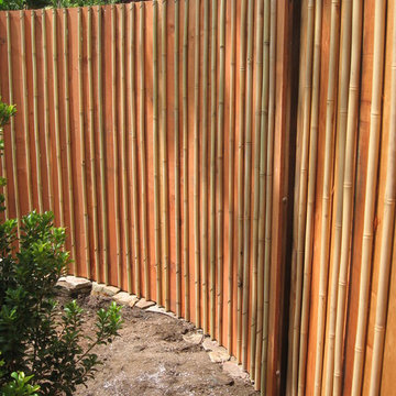 Bamboo Fence