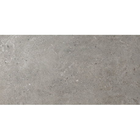 Icon Argent Rectified Porcelain Tile, 24"x48"