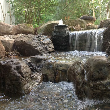 Ecosystem Ponds