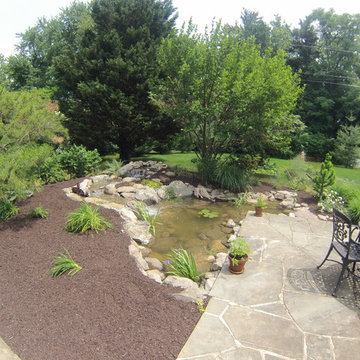 Pond Renovation