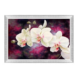 Orchids Framed Canvas Wall Art - Paintings