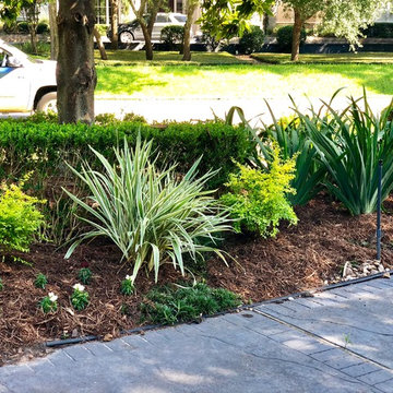 Grogans Point Landscape Update