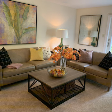 White Horse Village Staging