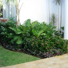 Foundation Plantings