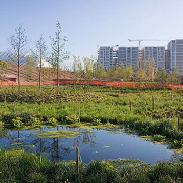 The Waterglades Queen Elizabeth Olympic Park