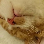 Kitty Tong's photo