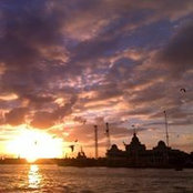 Mohamed Ossman's photo