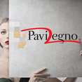 Foto di profilo di PAVILEGNO SRL