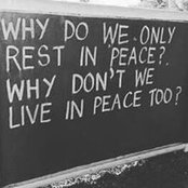 Katrina Dean's photo