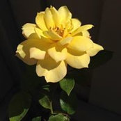 Eileen Keane Monte's photo