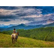 Jodes Bosse's photo