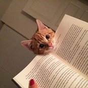 Cecilia Yang's photo
