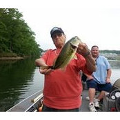 Pat Battistella's photo