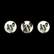 Christopher Edward's photo