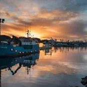 Richard Murray's photo