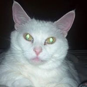 Cheryl Taylor's photo