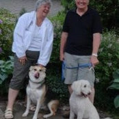 Dennis Marshall's photo