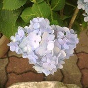 Wifson Liew's photo
