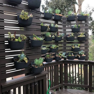 Exterior Plant Wall / Privacy Screen