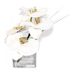 White Phalaenopsis Glass Square - Products