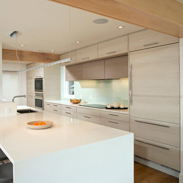 Contemporary Kitchen Design