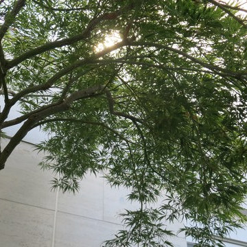 Atrium Köln- Müngersdorf