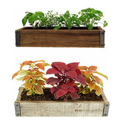 Reclaimed Barnwood Planter Box - Herbs & House Plants - Indoor Pots And Planters