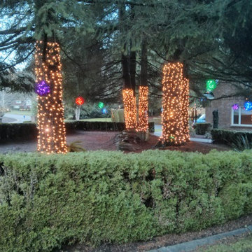 Holiday Light in Woodinville