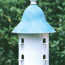 garden outside