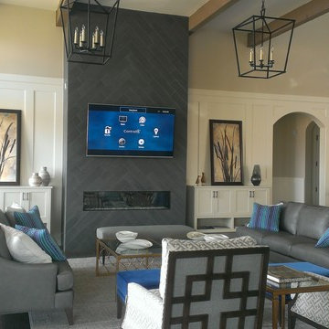 Luxury Homes - Control4 Projects