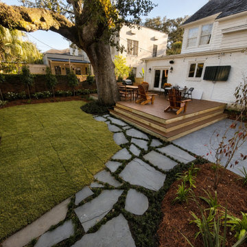 Audubon Boulevard | Stone Path Beneath the Live Oak