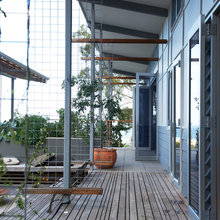 Trellis ideas